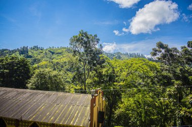 Dağları ve mavi gökyüzü olan güzel doğal orman manzarası