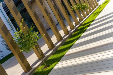 Kaldırımdaki tahta direklerden düşen gölgeler ve genç ağaçlı yeşil çimenler.