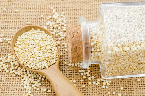 Sementes de quinoa de chenopódio . — Fotografia de Stock
