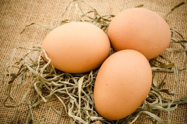 Świeże jaja na worek. — Zdjęcie stockowe