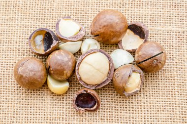 Macadamia nut Tarih çuval.