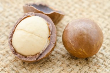 Kırık Macadamia nut, yakın çekim. Seçici odak.