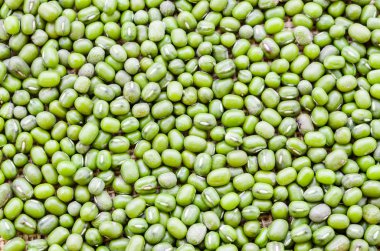 Yeşil fasulye mi yoksa fasulye arkaplanı mı?