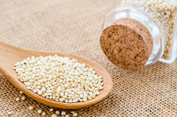 Sementes saudáveis de quinoa . — Fotografia de Stock
