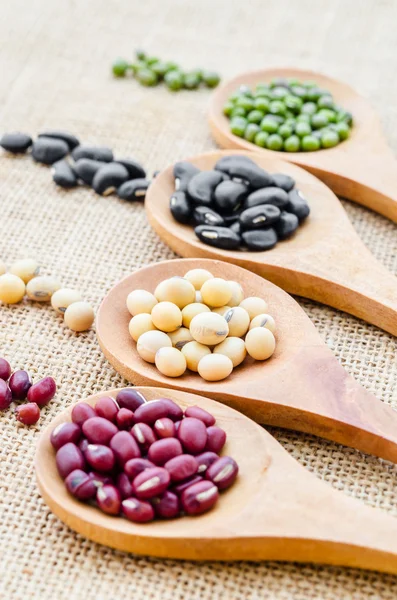 Haricots multicolores dans une cuillère en bois . — Photo