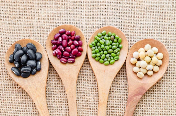 Haricots multicolores dans une cuillère en bois . — Photo