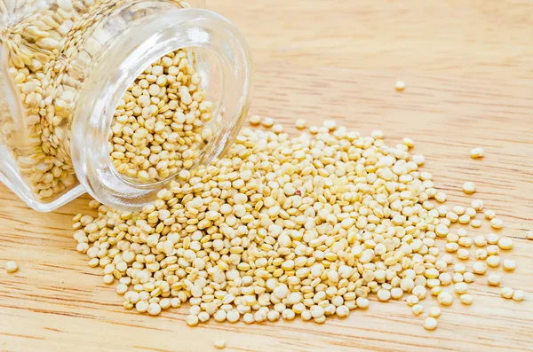 Bílé syrové quinoa semena. — Stock fotografie
