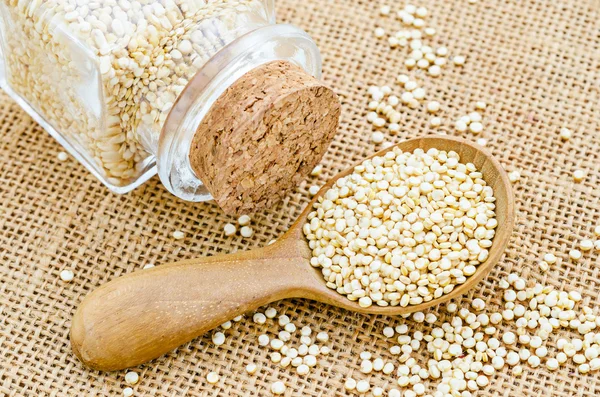 Zdravé quinoa semena — Stock fotografie