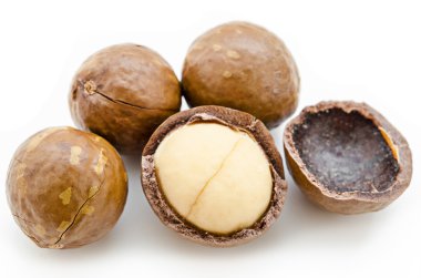 macadamia fıstığı kabuklu ve unshelled.