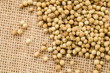 Kuru kişniş tohumu yakın çekim