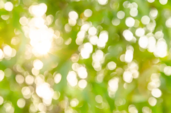 Natural outdoors bokeh background. — Stock Photo, Image
