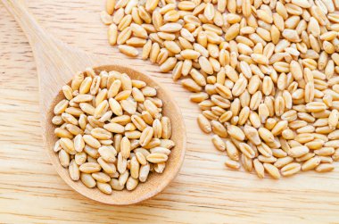 buğday taneleri karşı.