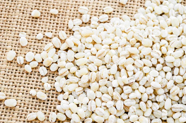 Pearl barley seeds. — Stock Photo, Image