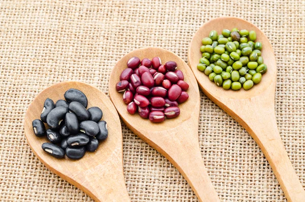 Haricots multicolores dans une cuillère en bois . — Photo