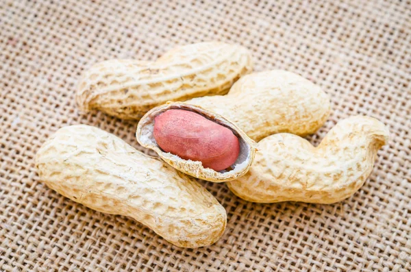 Peanuts in shells on sack.