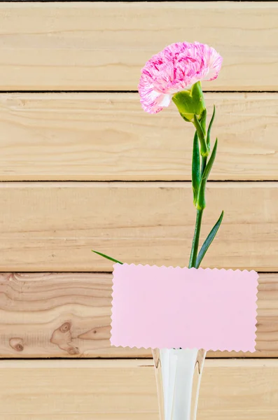 Bonitas flores de clavel rosa en jarrón blanco con saludo en blanco — Foto de Stock