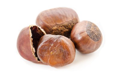 beyaz üzerine kestane.