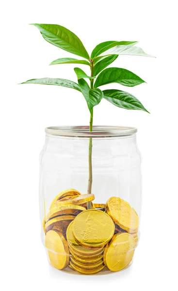 Business growth concept. — Stock Photo, Image