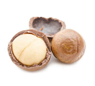 macadamia fıstığı kabuklu ve unshelled.