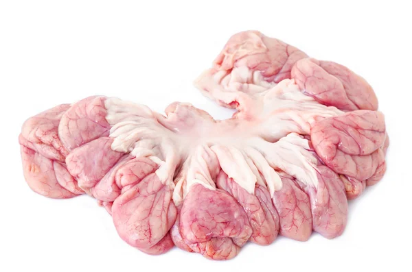 Órgãos internos do suíno . — Fotografia de Stock