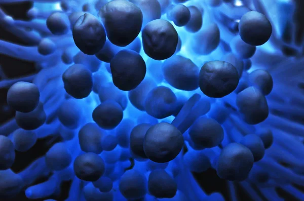 Azul e escuro ciência abstrata — Fotografia de Stock