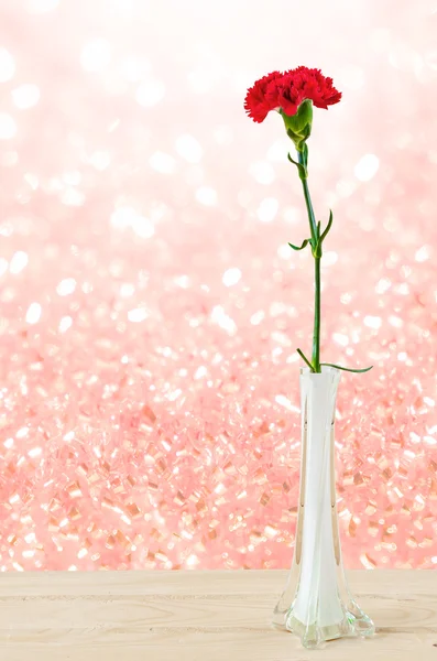 美丽的红色康乃馨，插在花瓶里. — 图库照片