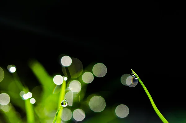 Water druppels onglass en natuur bokeh. — Stockfoto