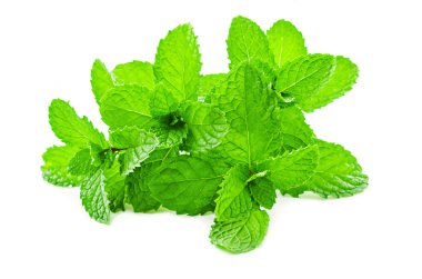 Taze çiğ nane yaprakları..