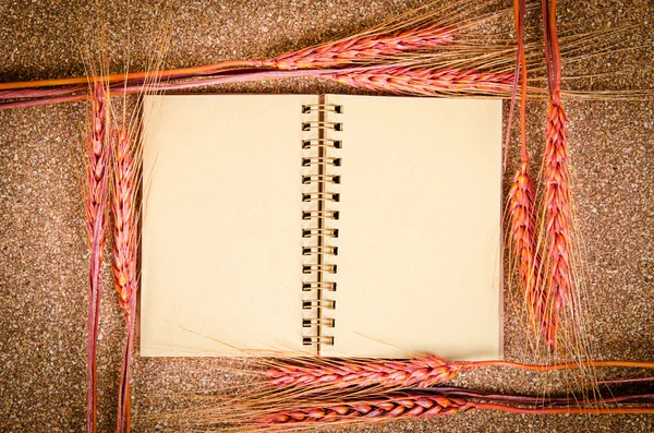 Diario vintage en blanco abierto con trigo . — Foto de Stock