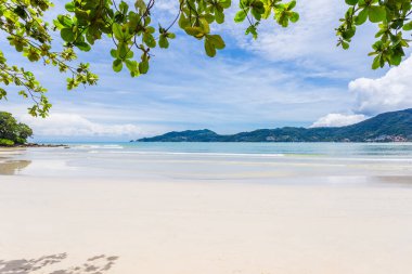 Yaz tatili ve yaz mevsiminde tropik plajlarda güzel yapraklar çerçeveli ağaçlar konsepti