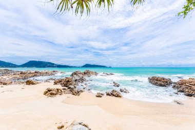 Yaz tatili ve yaz mevsiminde tropik plajlarda güzel yapraklar çerçeveli ağaçlar konsepti