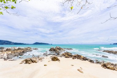 Yaz tatili ve yaz mevsiminde tropik plajlarda güzel yapraklar çerçeveli ağaçlar konsepti