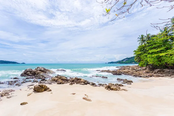 Yaz tatili ve yaz mevsiminde tropik plajlarda güzel yapraklar çerçeveli ağaçlar konsepti