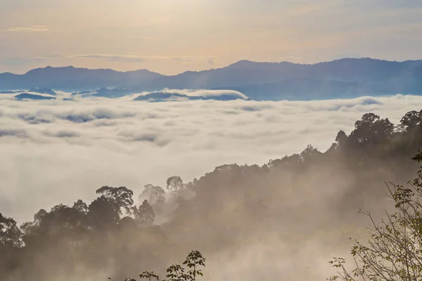 Khao Khai Nui Mer Brouillard Matin Hiver Lever Soleil Nouveau — Photo