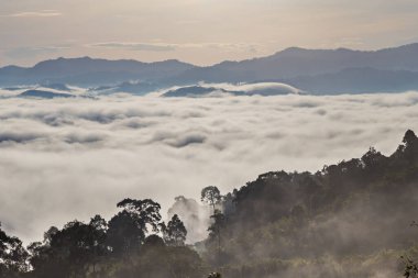 Khao Khai Nui, Sis Denizi kış sabahları gün doğumunda, Tayland, Phang nga 'da güzel manzaralar görmek için yeni bir dönüm noktası..