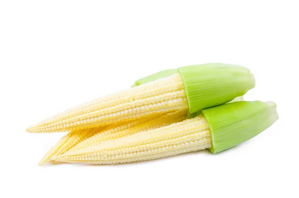 Delicious Freshness Baby Corn Isolated White Background — Stock Photo, Image