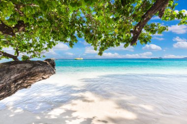 Güzellik, Tropik plaj, Similan Adaları, Andaman Denizi, Ulusal Park, Phangnga Eyaleti, Tayland