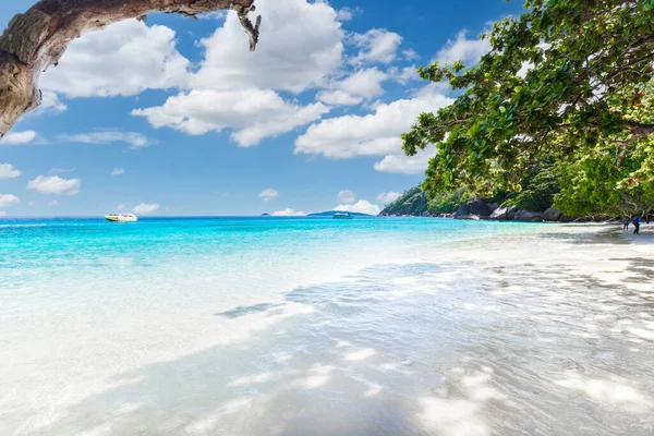 Bellezza Spiaggia Tropicale Isole Similari Mare Delle Andamane Parco Nazionale — Foto Stock