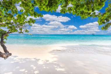 Similan Adaları 'nda kumlu sahilde dalgaların çarptığı güzel kumlu sahil. Similan Ulusal Parkı, Phang nga Tayland' daki 4 numaralı tropikal deniz adası.