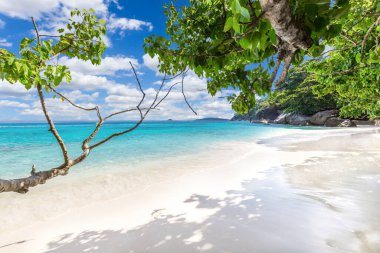 Similan Adaları 'nda kumlu sahilde dalgaların çarptığı güzel kumlu sahil. Similan Ulusal Parkı, Phang nga Tayland' daki 4 numaralı tropikal deniz adası.