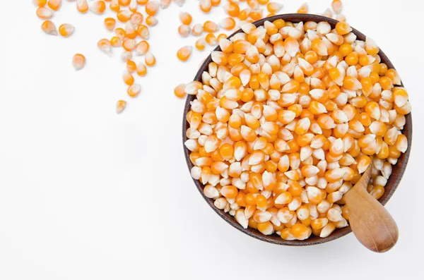 Raw corn seed. — Stock Photo, Image