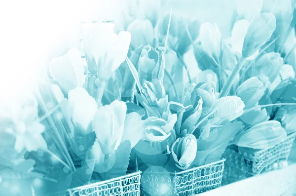Mjuk fokus för vintage tulpan blommor. — Stockfoto
