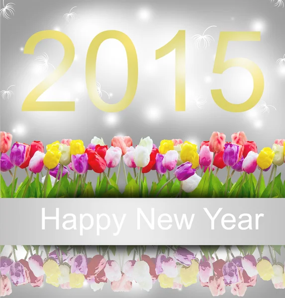 2015 New year — Stock Photo, Image