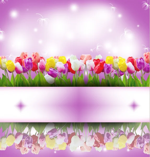Vintage tulip flower background. — Stock Photo, Image