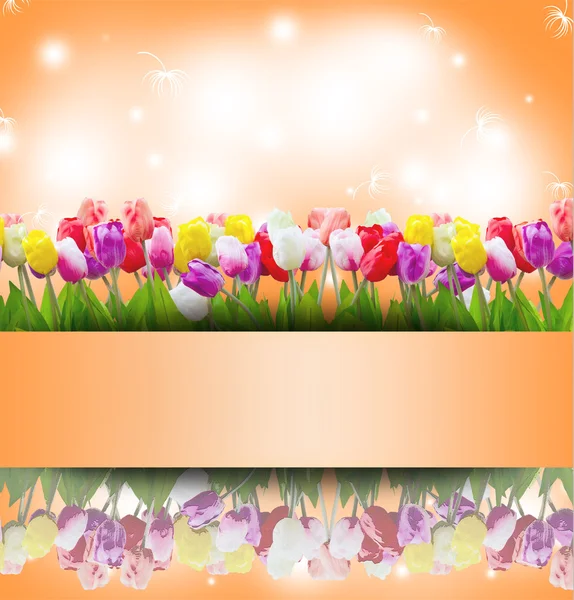 Vintage tulip flowers background with stamp frame. — Stock Photo, Image