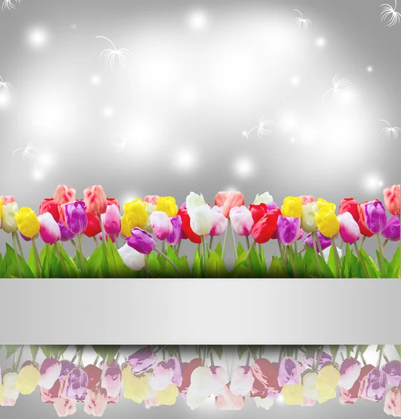 Vintage tulip flowers background. — Stock Photo, Image