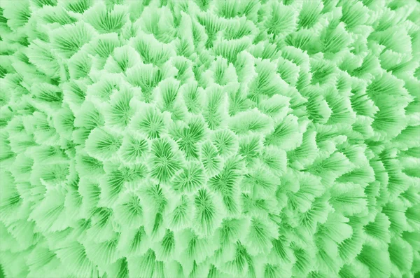 Resumo da textura verde formada — Fotografia de Stock