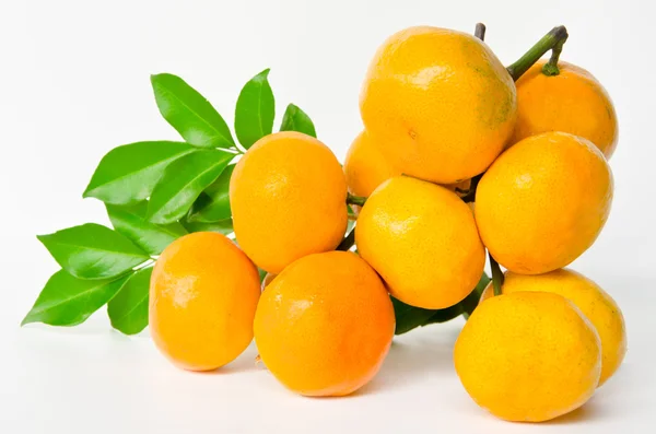 Orange fruit. — Stock Photo, Image