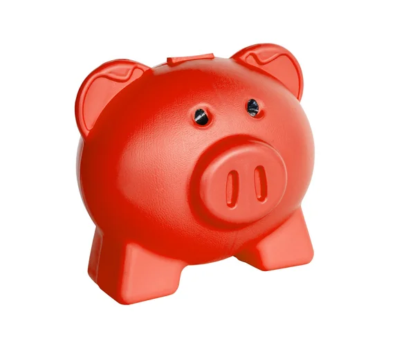 Funny red Pig Piggy — Stock Photo, Image