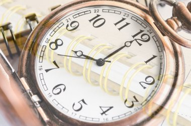 cep seyretmek yüz ve kahverengi günlüğü